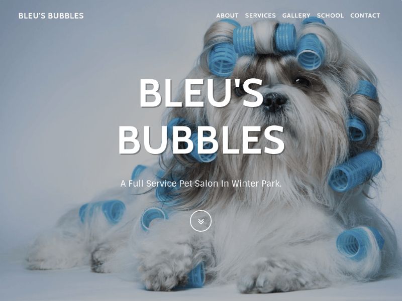 bubbles dog salon